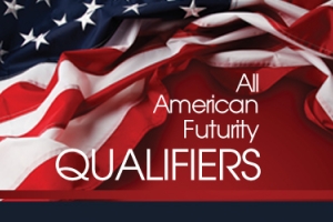 All American Futurity Qualifiers