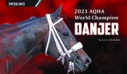 2021 AQHA World Champion: Danjer  