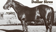 The Nasrullah Million Dollar Sires