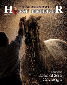 NM Horse Breeders