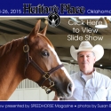 Heritage Place Yearling Sale - Saturday, September 26