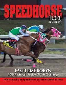 Current Speedhorse Mexico Magazine