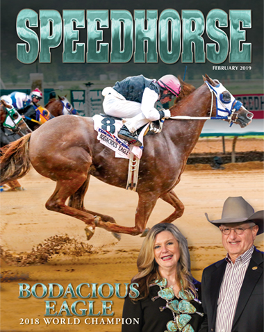 Speedhorse, February 2019