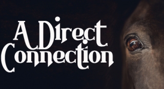 A Direct Connection