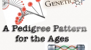A Pedigree Pattern For The Ages