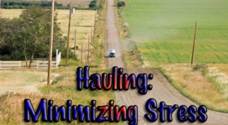 Hauling: Minimizing Transport Stress in Horses