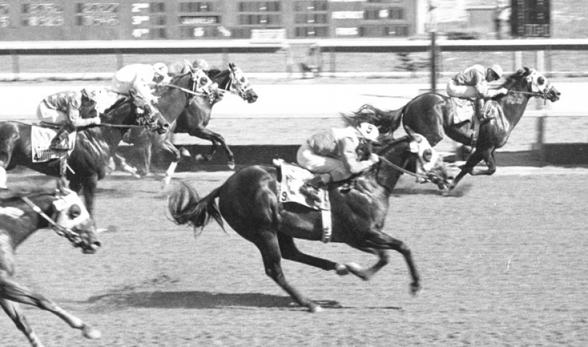 A Look Back at The All American Futurity Speedhorse Magazine Your