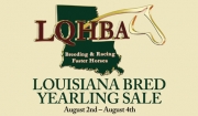 Flipping Book Highlights of the LQHBA Consignments who Advertised in the July issue of Speedhorse