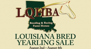 Flipping Book Highlights of the LQHBA Consignments who Advertised in the July issue of Speedhorse