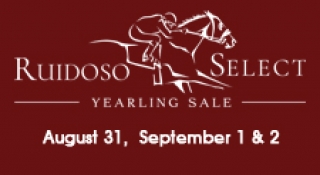 Flipping book highlights of Ruidoso Select Yearling Sale from August issue