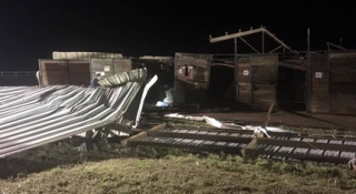 Tornado Damages Stables At Will Rogers Downs