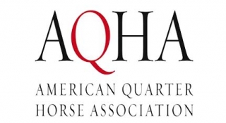 2020-2021 AQHA Executive Committee