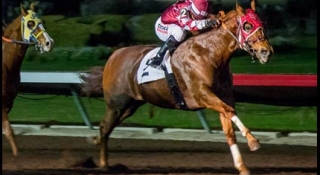 BH Lisas Boy Tops Year's First AQHA Racing Poll