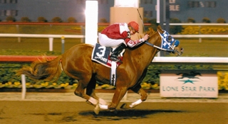 Two Graded Stakes Geldings Die