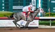 Chance To Excel To Undergo Surgery