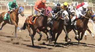 Racing Returns to Cochise County Fairground May 18-19