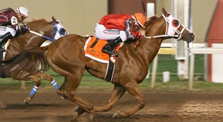 Dexxter Voted Remington Park's Horse of the Meet