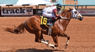 All American Futurity Winner Fly Baby Fly Arrives at Ruidoso