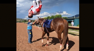 G.R. Carter Jr. Named AQHA Racing Committee Chairman