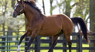 Robicheaux Ranch Inc. and Spendthrift Announce Exclusive Opportunity