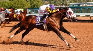 World Champion Jessies First Down Returns to AQHA Racing National Poll