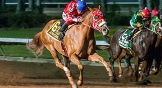 Jesstacartel is PCQHRA Horse of the Year