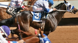 Missouri Rancher Offers Reward for Stolen Race Horse, Kansas Morning