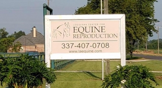 Louisiana Center For Equine Reproduction Collection Days