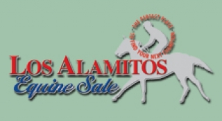 Los Alamitos Equine Sale