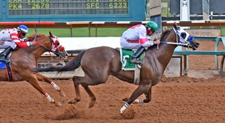 Midday News Wins Shake for All American Derby