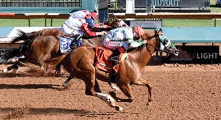 All American Futurity Winner Tests Positive After Remington Park Derby Trial