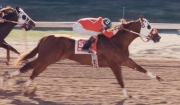 Elliot Clark Sr, Owner of Mr Jess Perry, Passes Away