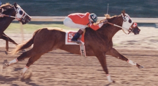 Mr Jess Perry & J.E. Jumonville Jr. to be Inducted Into 2019 LQHBA Hall of Fame