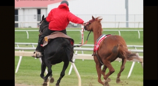 Outriders Provide Safety During Races at Indiana Grand Racing & Casino