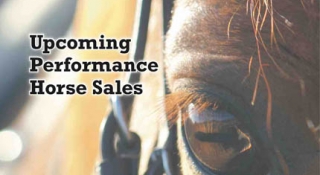 Upcoming Performance Horse Sales