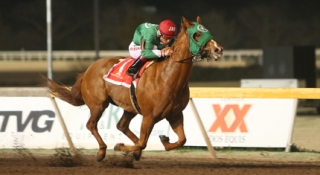 Political Attraction Voted Remington Park Horse of The Meet