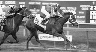 Former Quarter Horse Jockey Randy Romero Passes Away