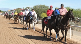 Equine Wellness Program Rillito Park 