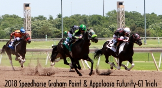 Speedhorse Graham Paint & Appaloosa Futurity Trials 
