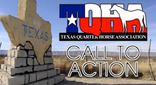 Protect Our State’s Horse Heritage - Save the Horse Racing Industry in Texas