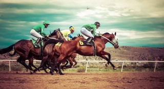 Wyoming Downs Second Annual Mixed Horse Sale