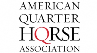 DF AJ Green Leaves, Jess Bein The Hero debut in AQHA Racing Poll