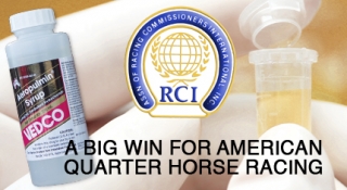 A Big Win for American Quarter Horse Racing