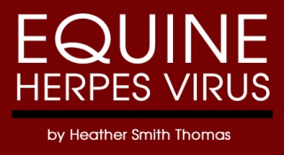 Equine Herpes Virus - Reprint SPEEDHORSE, June 2013