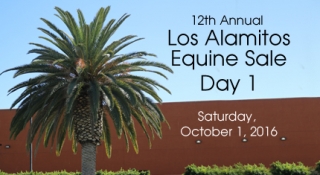 Los Alamitos Equine Sale, Day 1