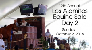 Los Alamitos Equine Sale - Day 2