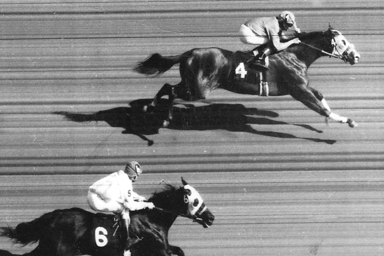 The Dale’s first  stakes win came in 1980 with Saucey Susie in the Thayer Lassie Futurity. “If ever there was a horse I owned that I actually loved, it was that horse,” said Bill.