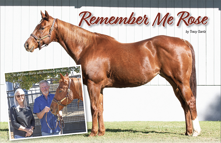 Remember Me Rose