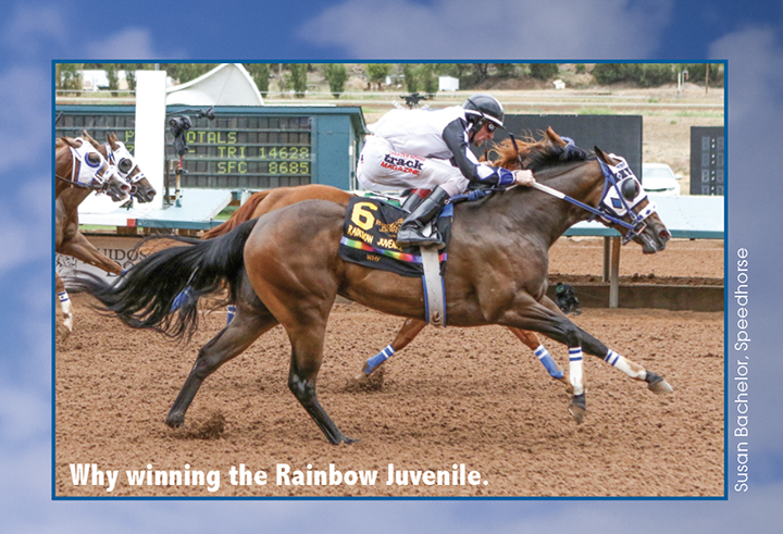 Why winning the Rainbow Juvenile