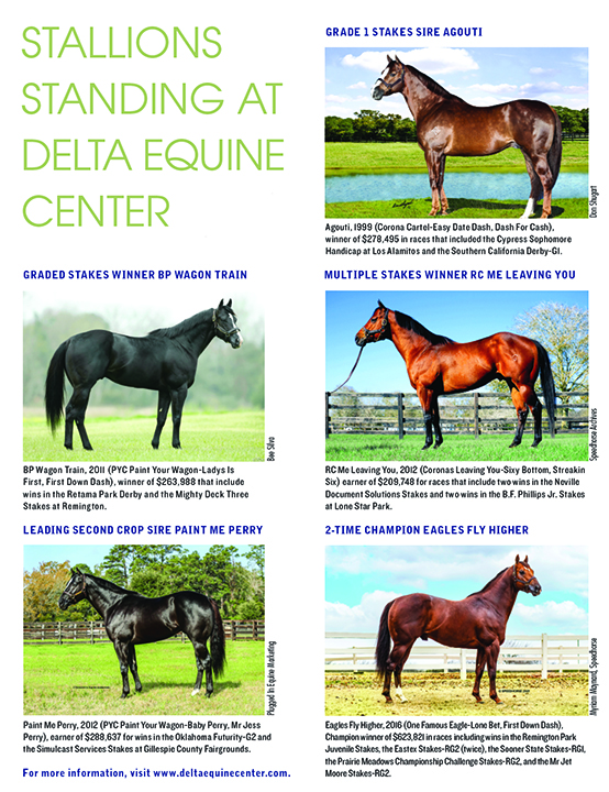 Stallions Standing at Delta Equine Center